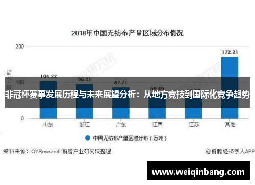 非冠杯赛事发展历程与未来展望分析：从地方竞技到国际化竞争趋势