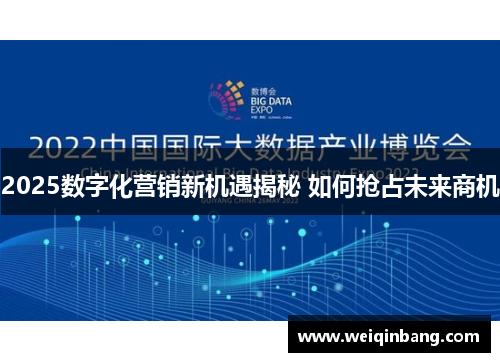 2025数字化营销新机遇揭秘 如何抢占未来商机